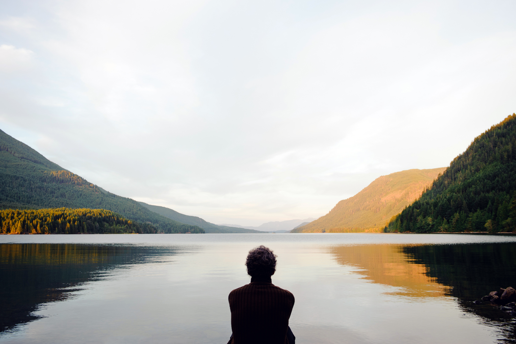 Wellness practitioners in EU